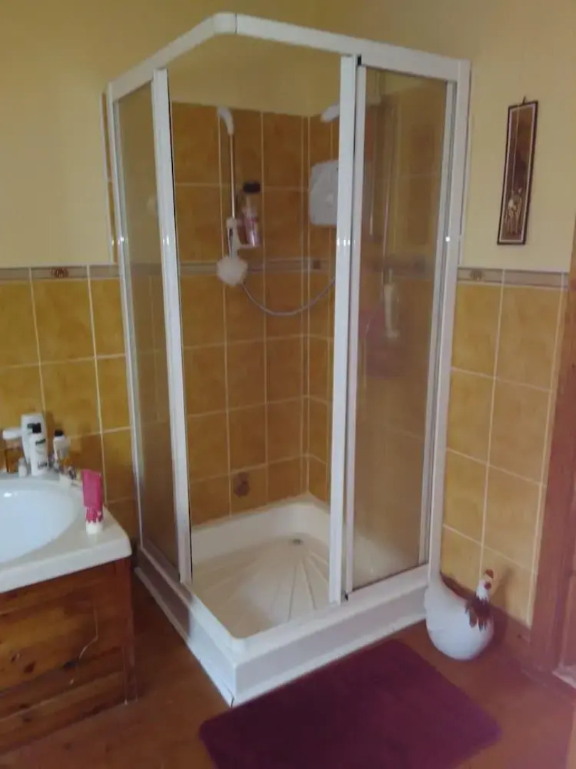 Large family home in Wexford