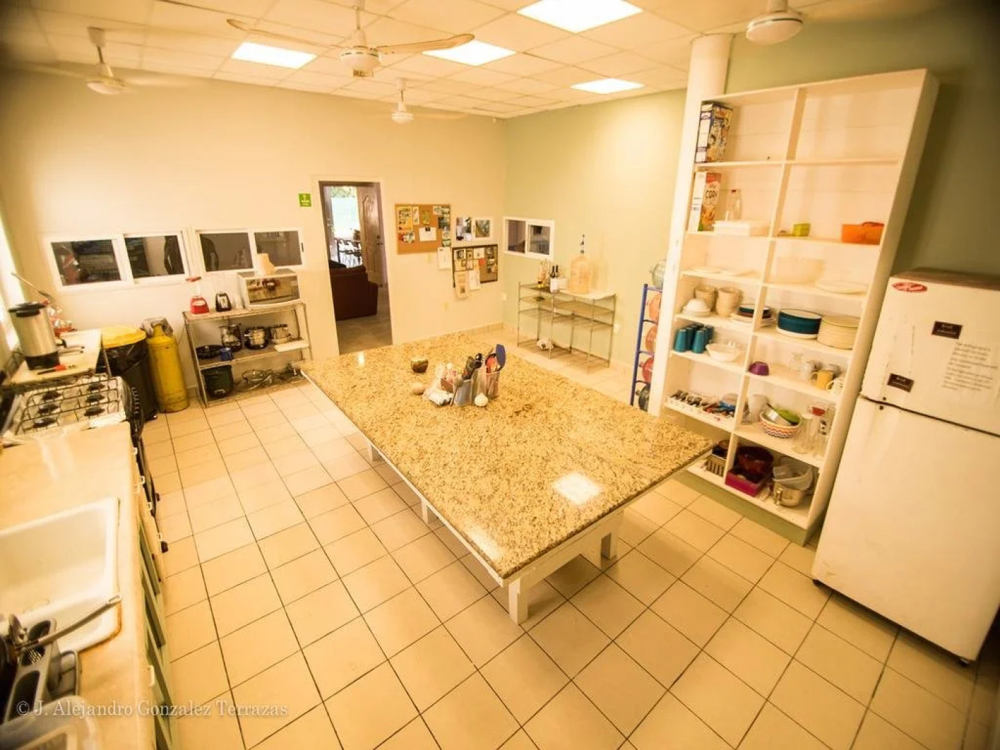 Quintana Roots Hostel