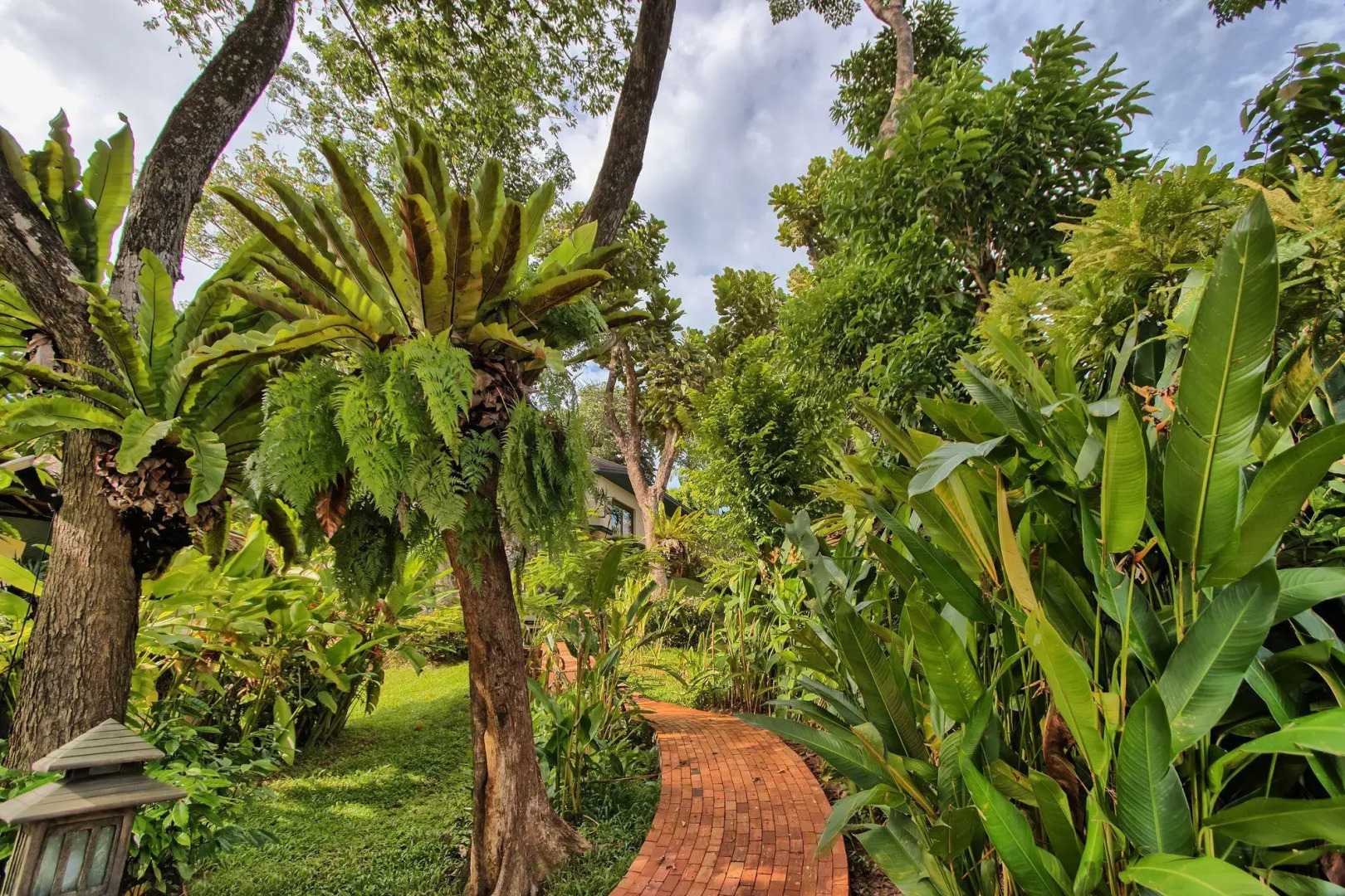 Mangosteen Ayurveda & Wellness Resort