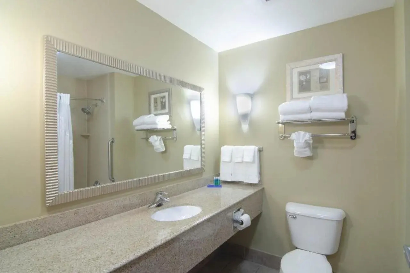Comfort Suites Mobile-South Alabama University Area