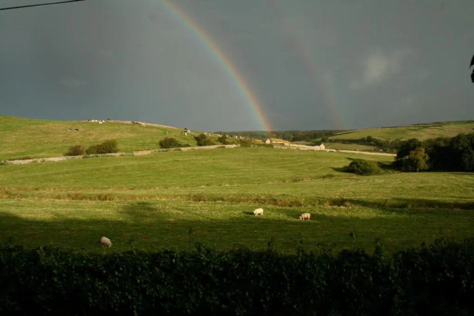 The Cottage Abbotsbury
