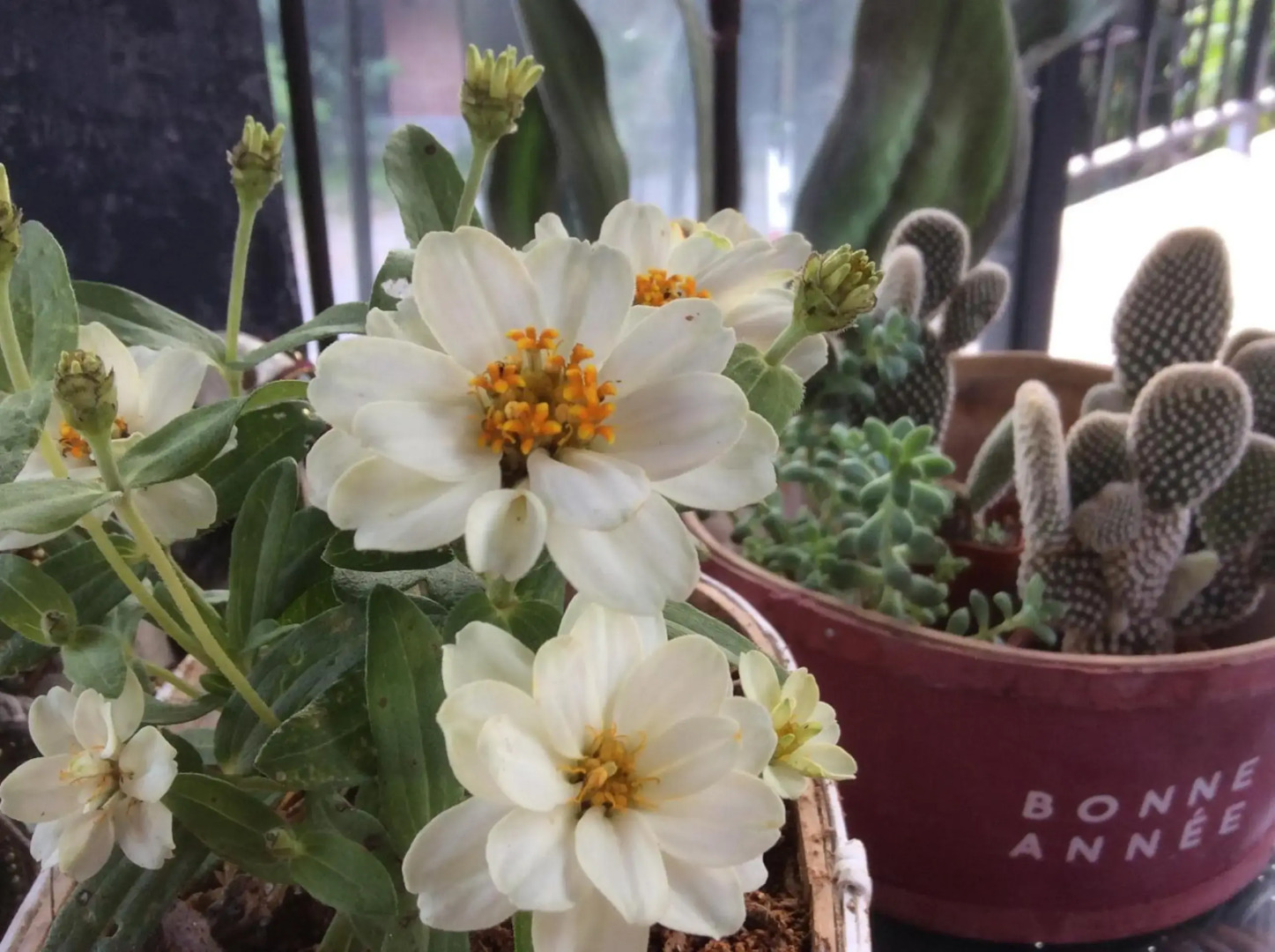 Pupiang Po Da Arte Resort