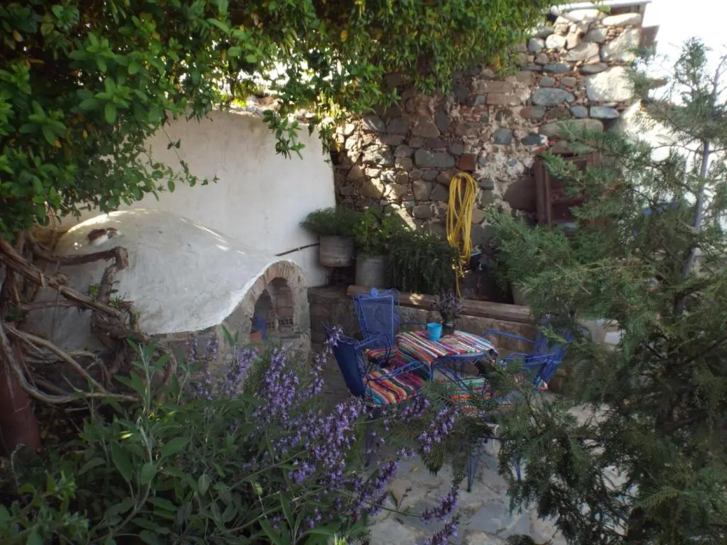 The Pomegranate's House