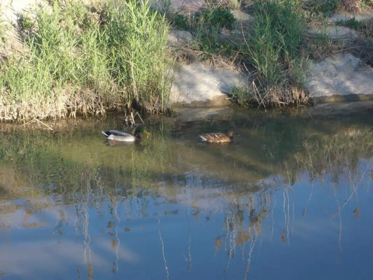 Chalet II con jardín y wifi en la playa