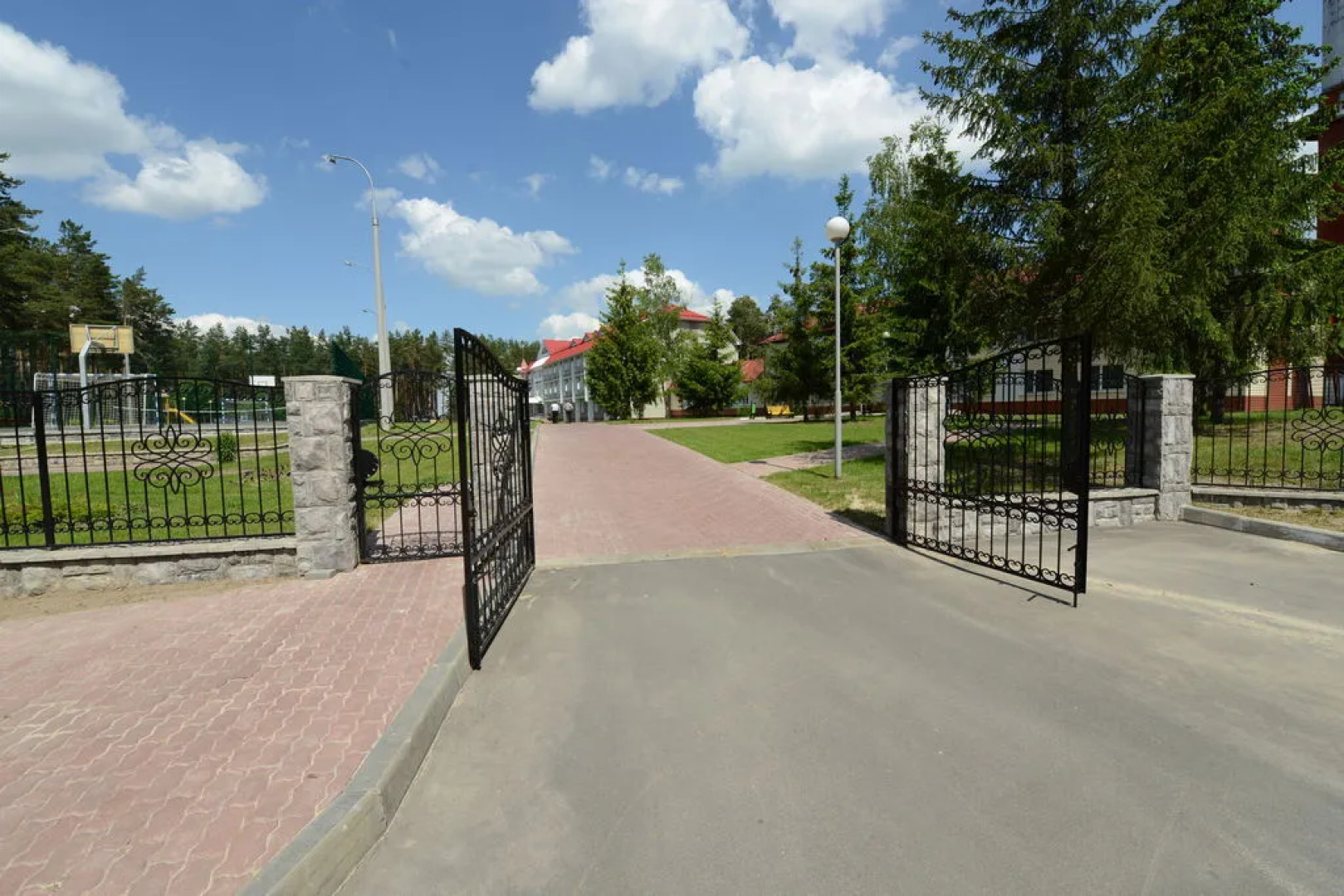Сосны (Гомельская обл.)
