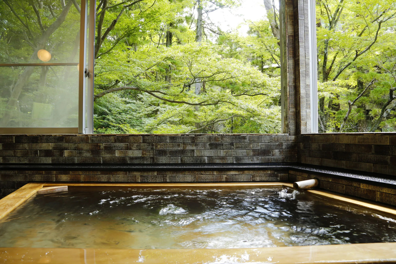 Hashinoya Annex Ransui