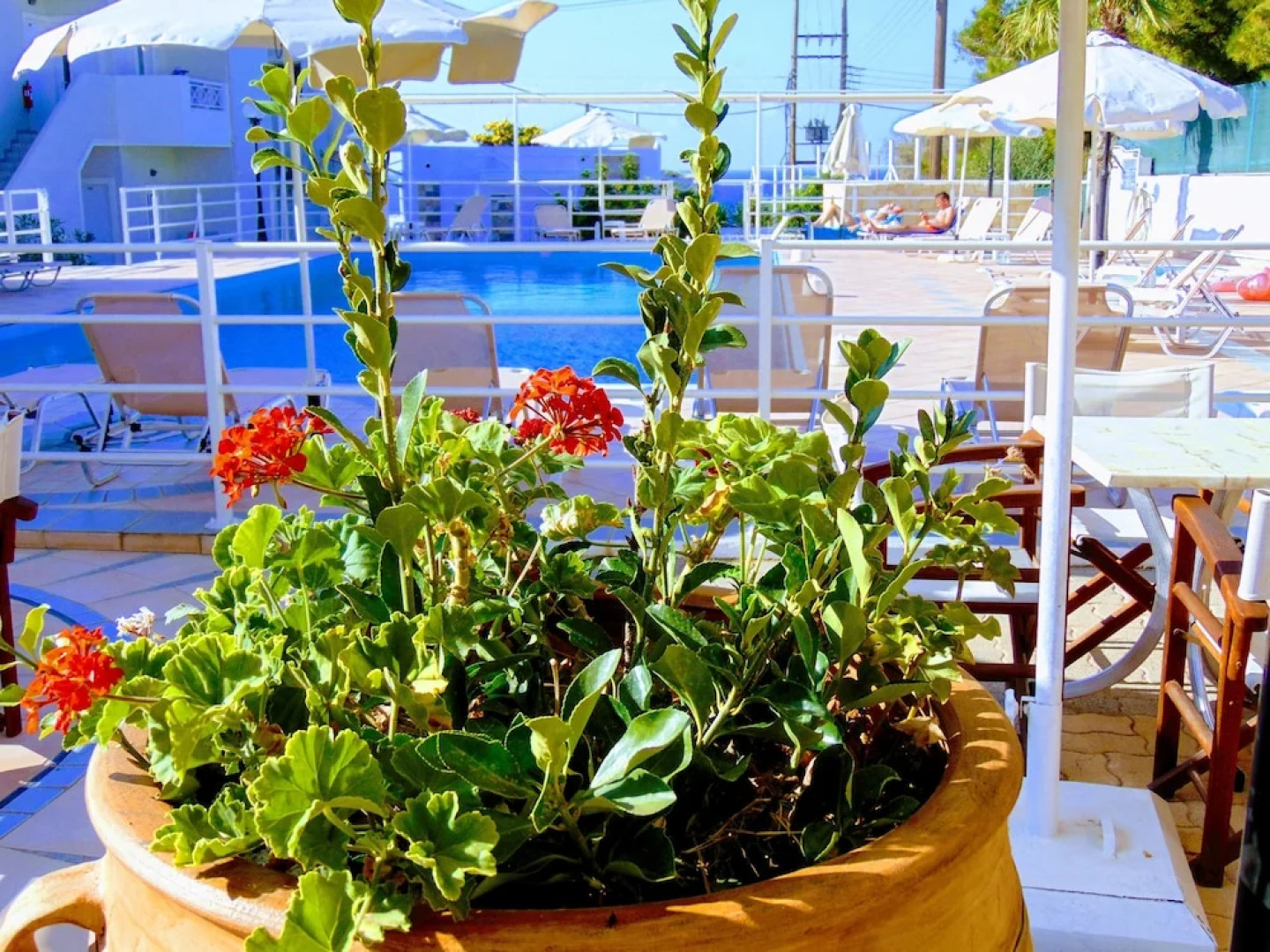 More Crete Anissaras