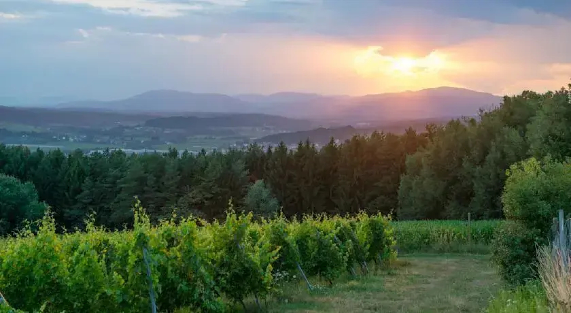 Bio-Thermen-Hotel Wilfinger