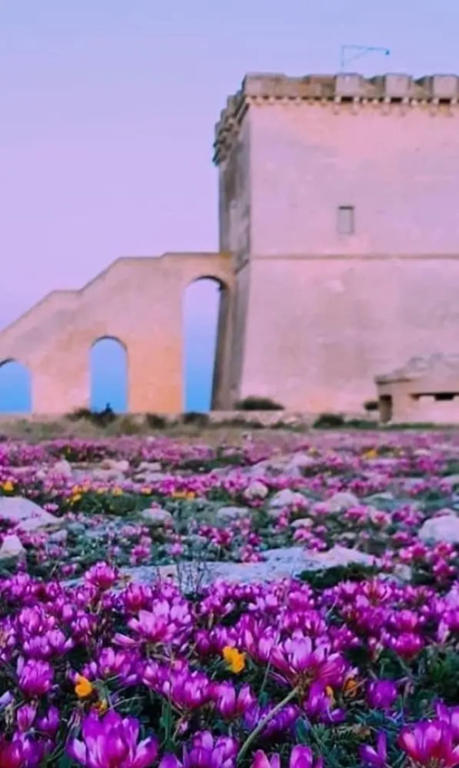 Sabbia Bianca Affittacamere