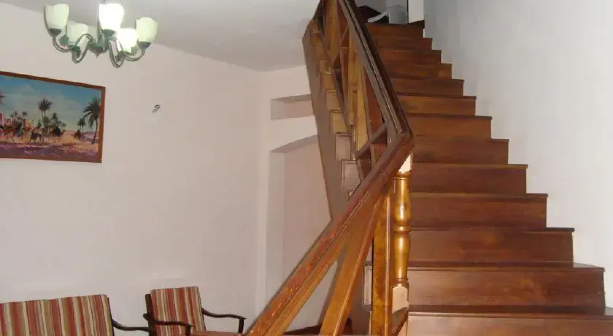 Luxury Exotic Apartments