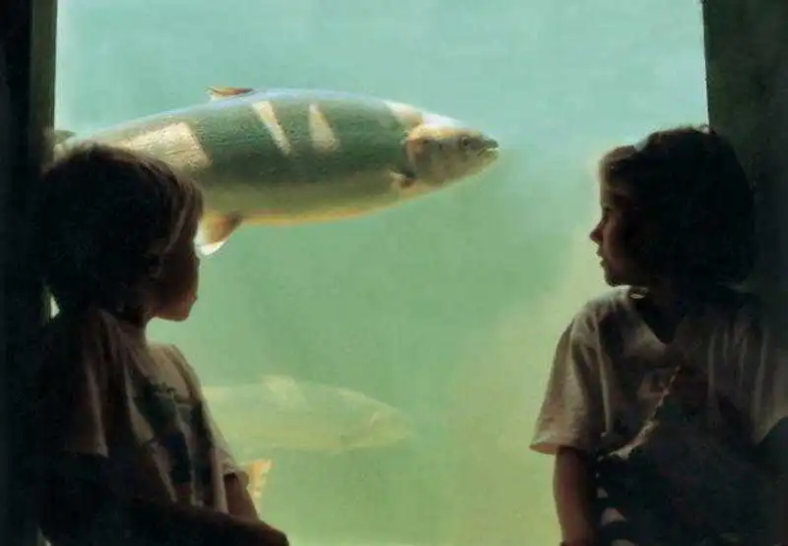 Hotel Fairmont Algonquin - Studio