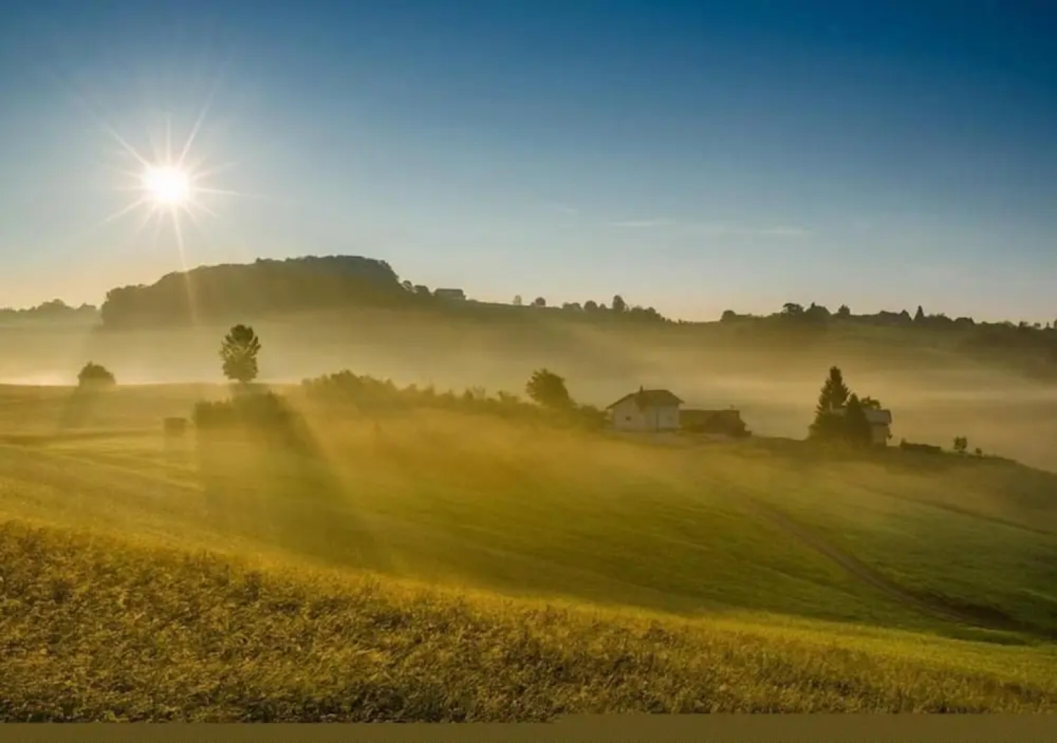 Appartement-Hotel-Allgayer