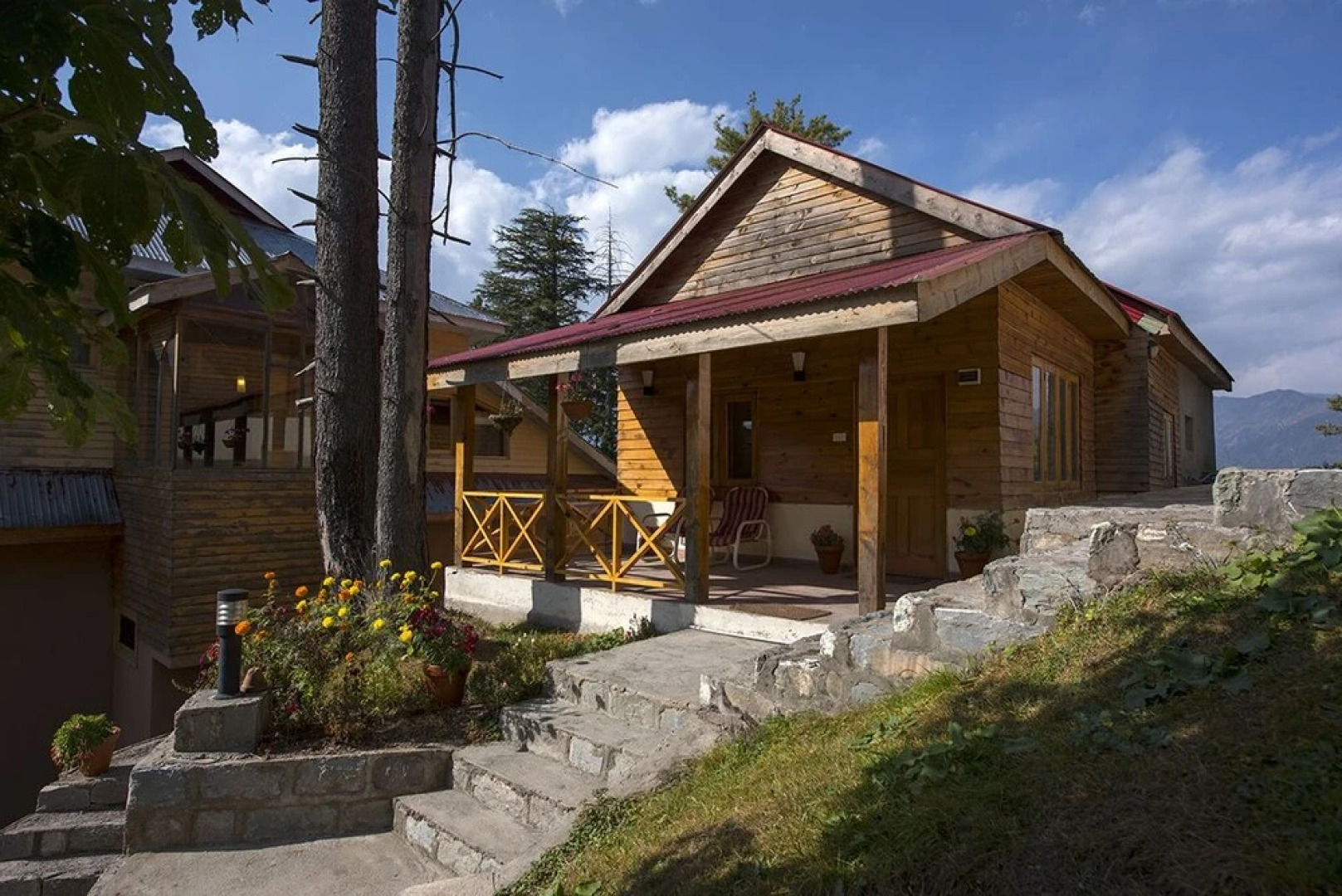 Arcadian Sprucewoods