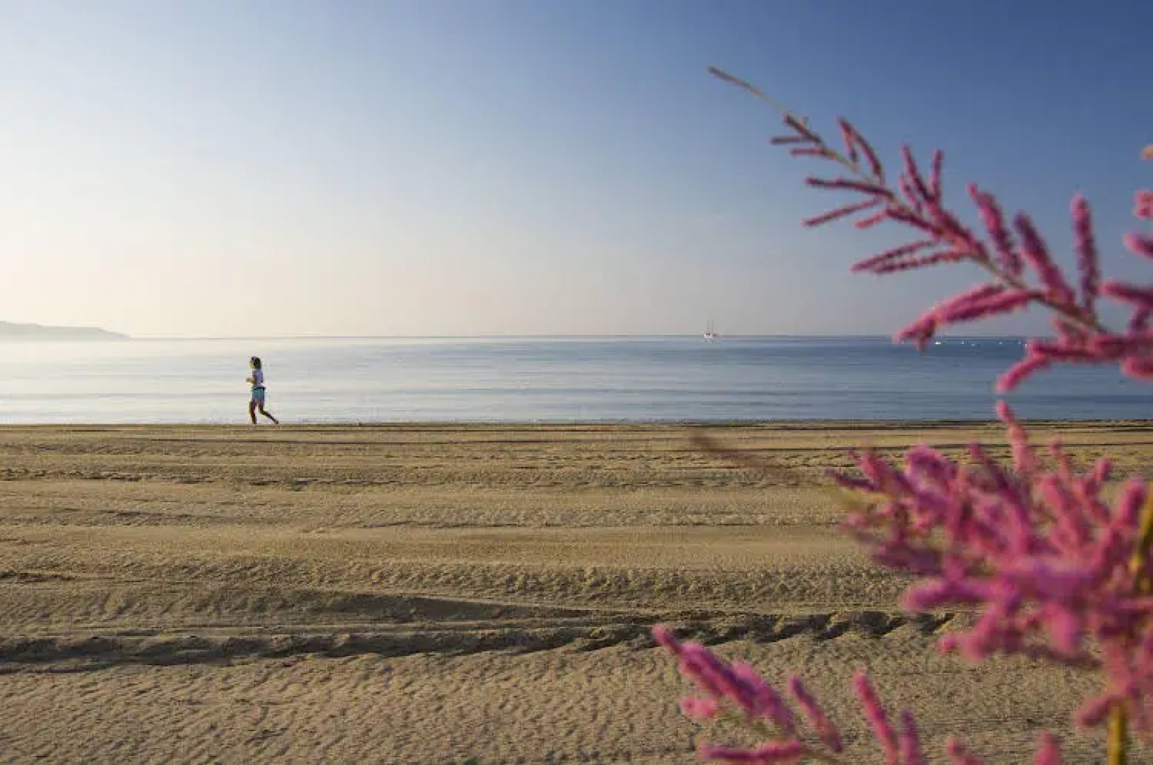 Le Chï¿½teau de Sable