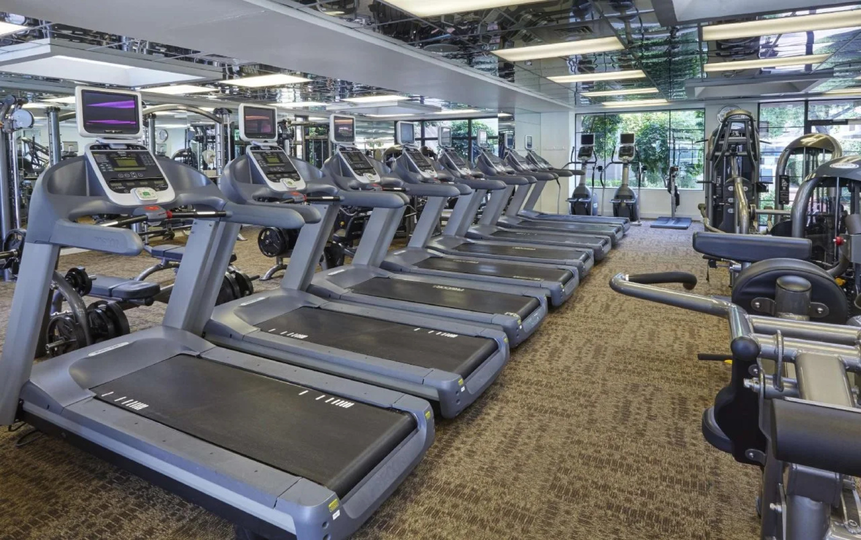 Homewood Suites by Hilton Halifax-Downtown