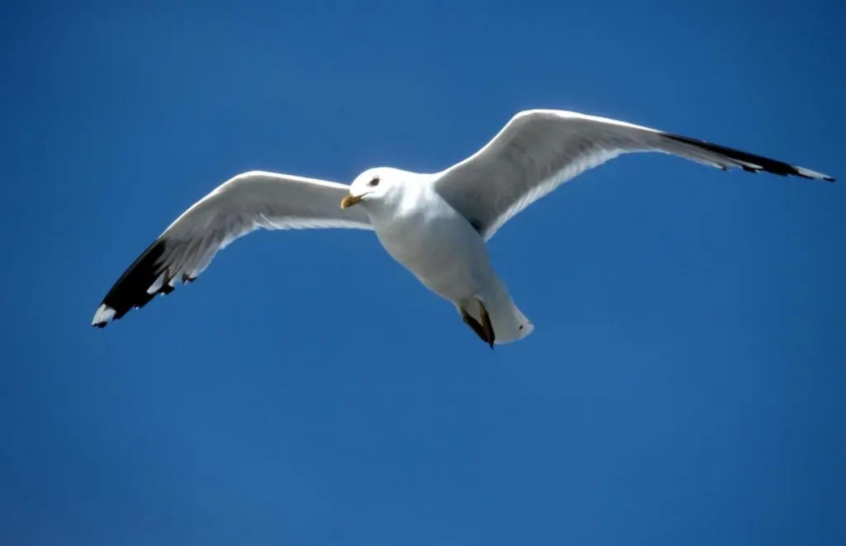 Altstadtflair Apartment