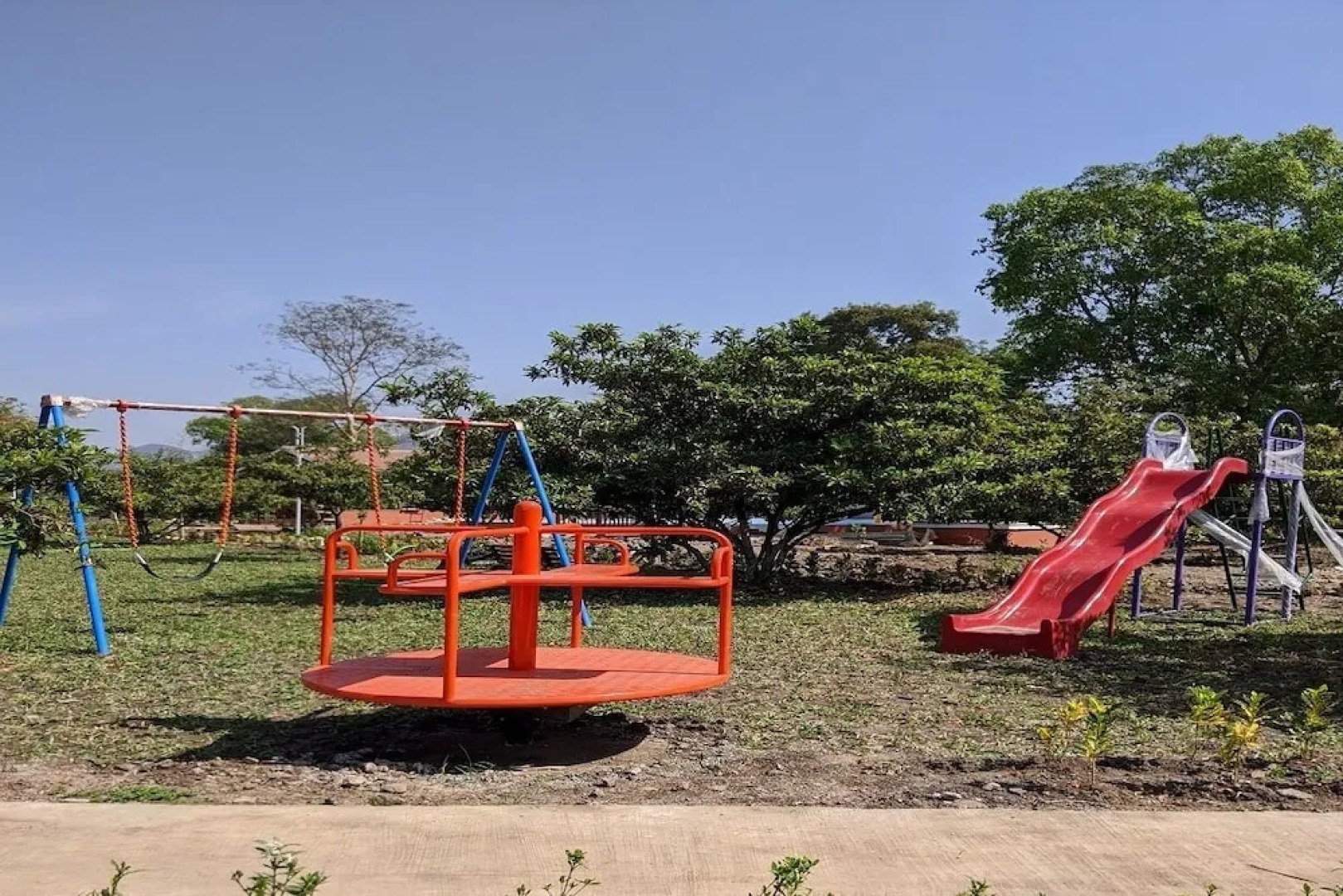 Mango Tree Farm
