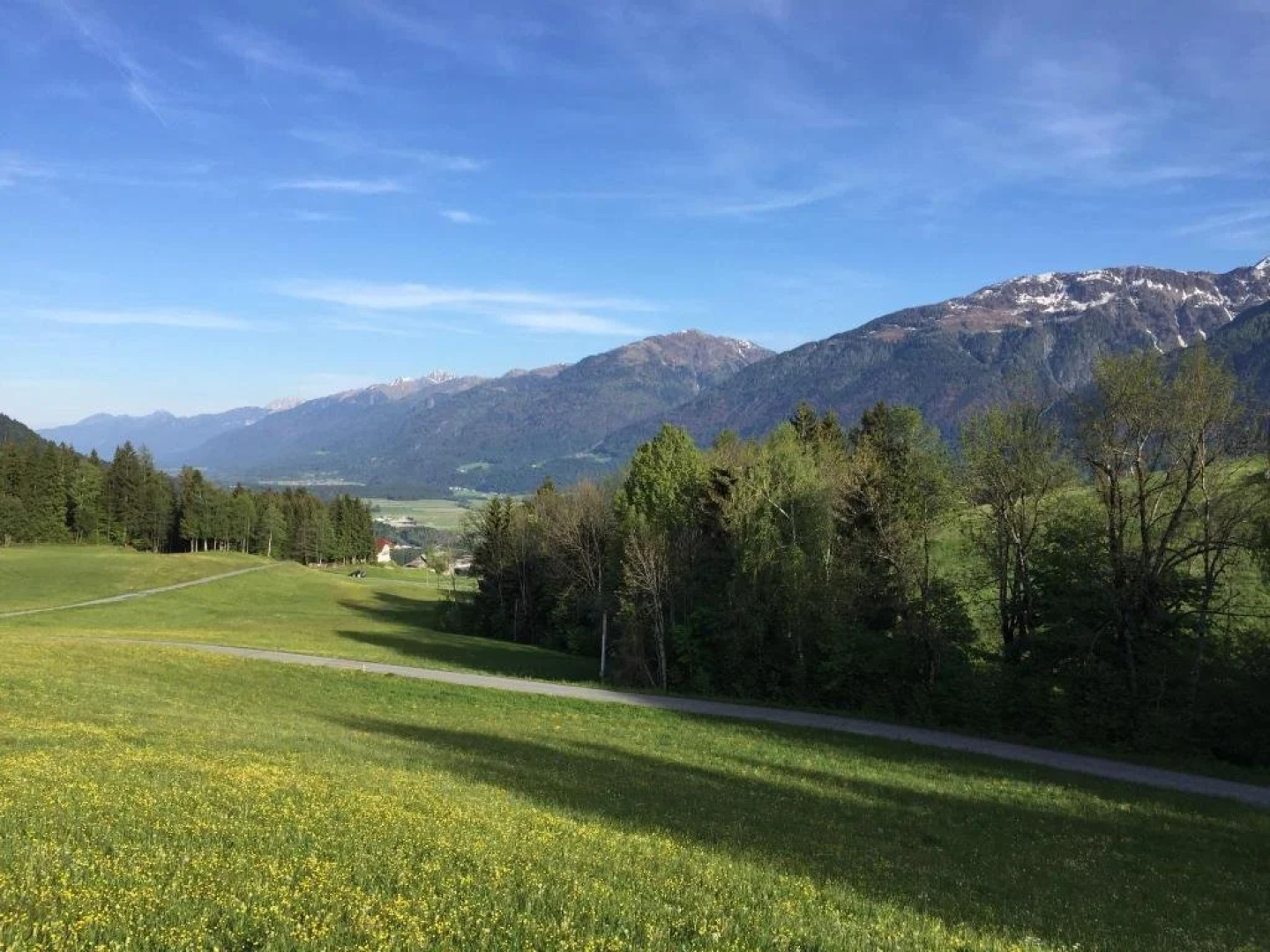 Haus Sieben - Singer Lydia