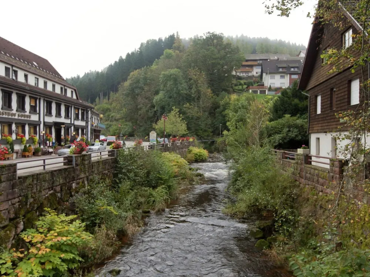 Beautiful Apartment in the Heart of the Black Forest With Private Balcony