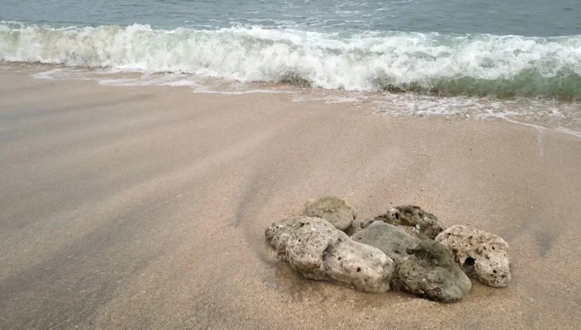 La Union Blue Marlin Resort