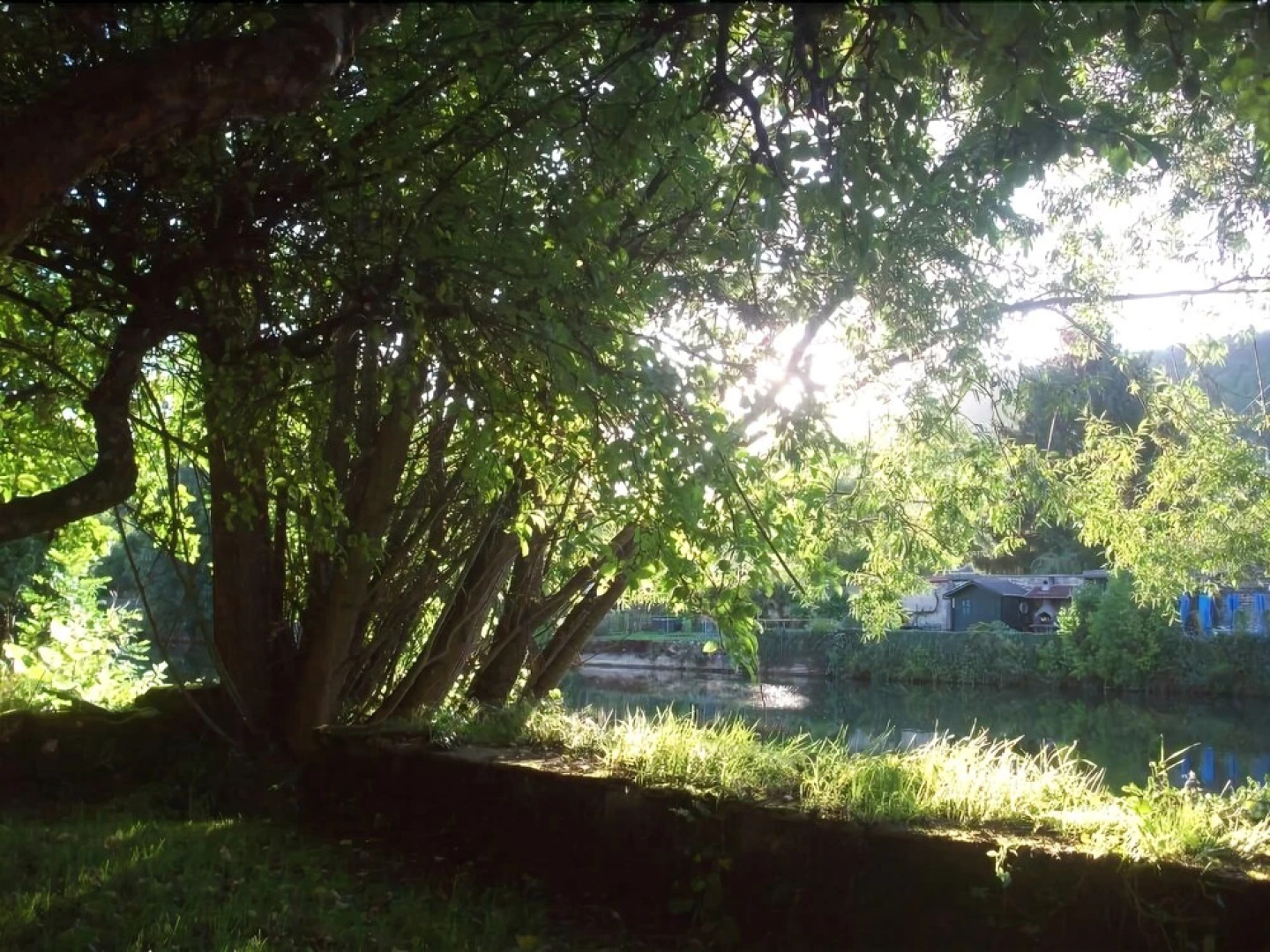 Gîte Rose & Loue