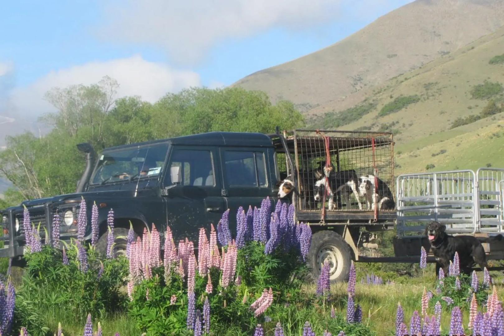 Dunstan Downs High Country Sheep Station Farmstay & Backpackers