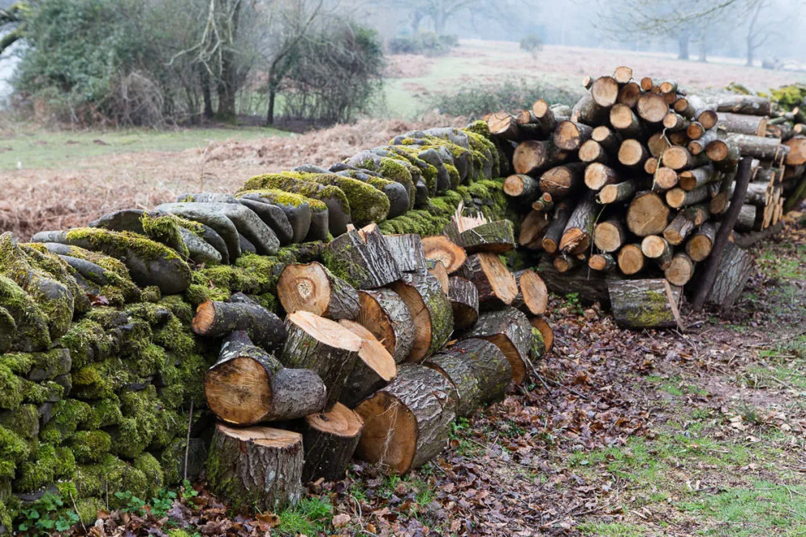 Gliffaes Country House Hotel