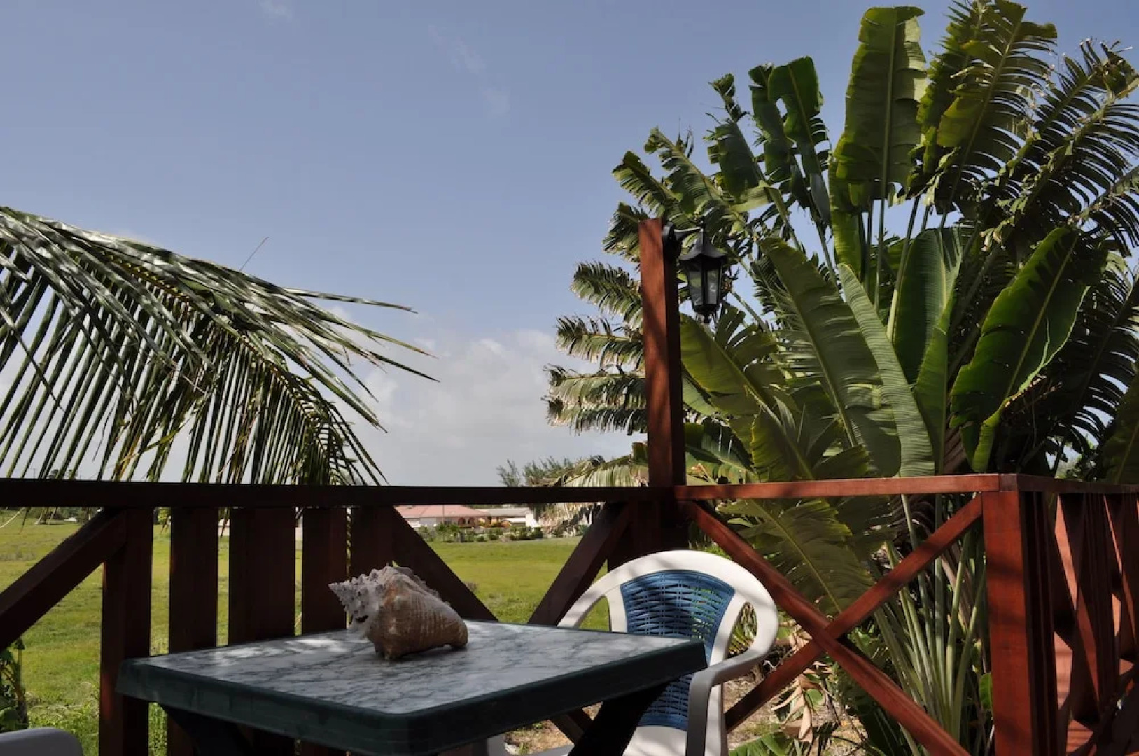 White Coconut Studio