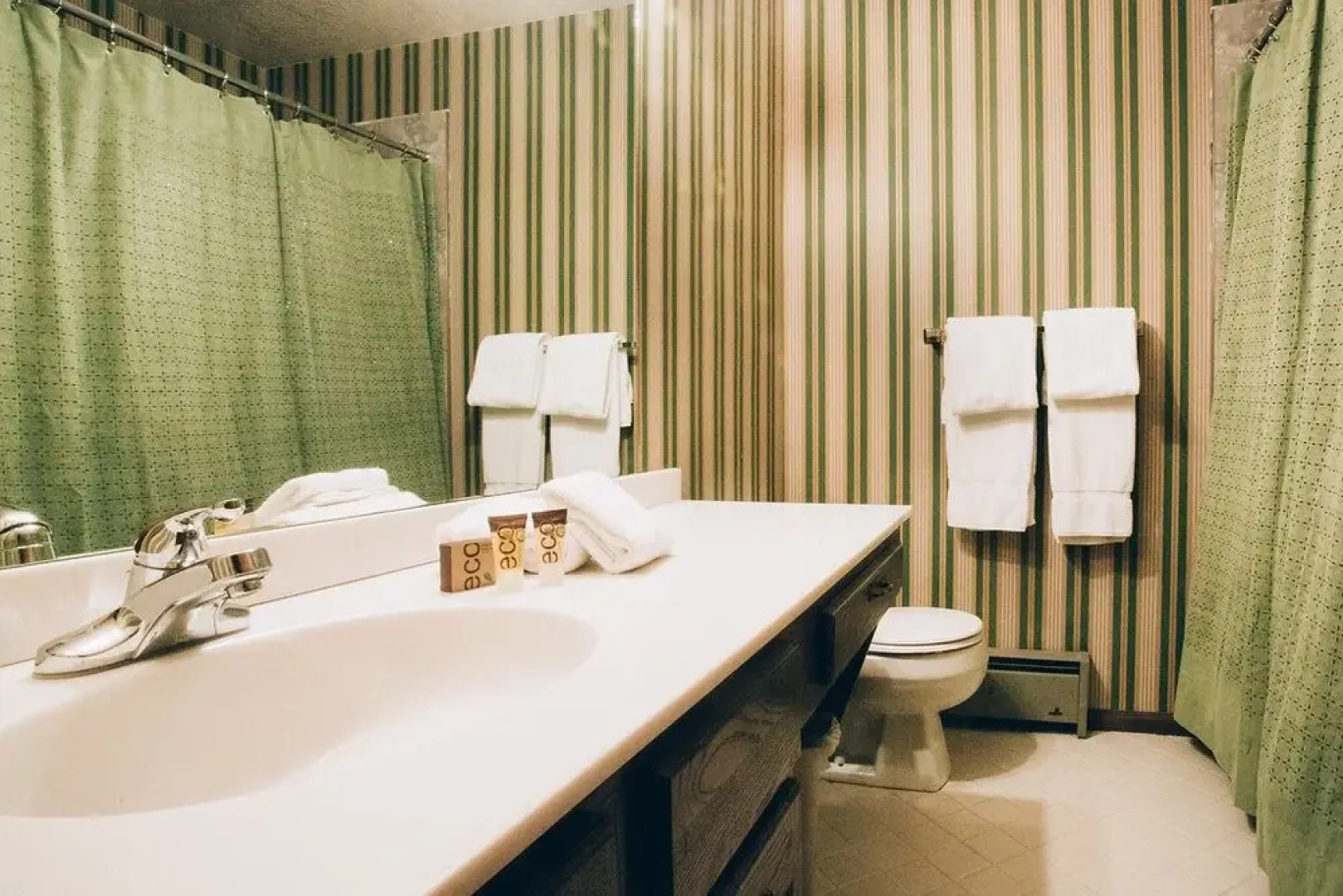 Smuggler Mine 6BR Home