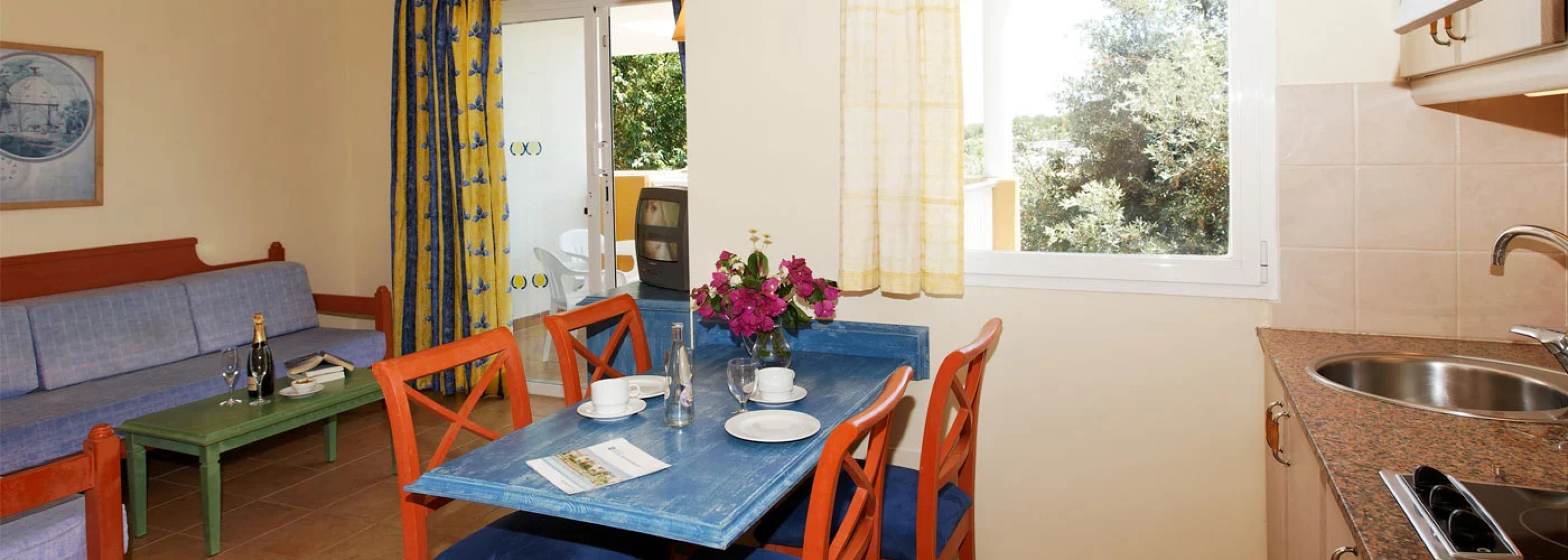 Comitas Isla del Aire