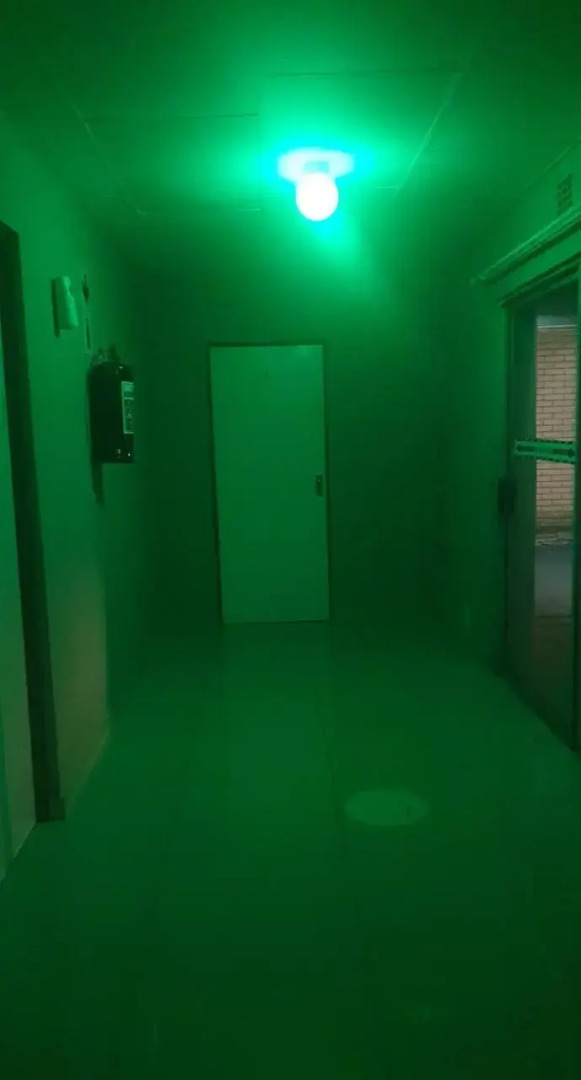 Dreams Guest Inn Raceview (Adults Only)