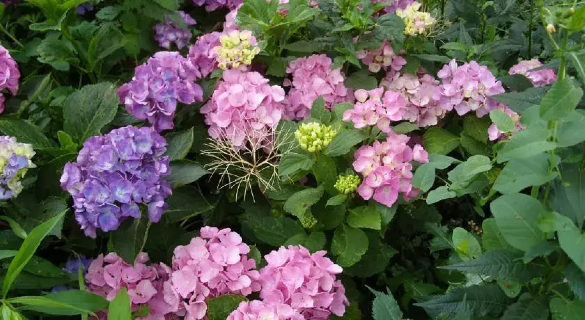 t Karrewiel Bed & Brood