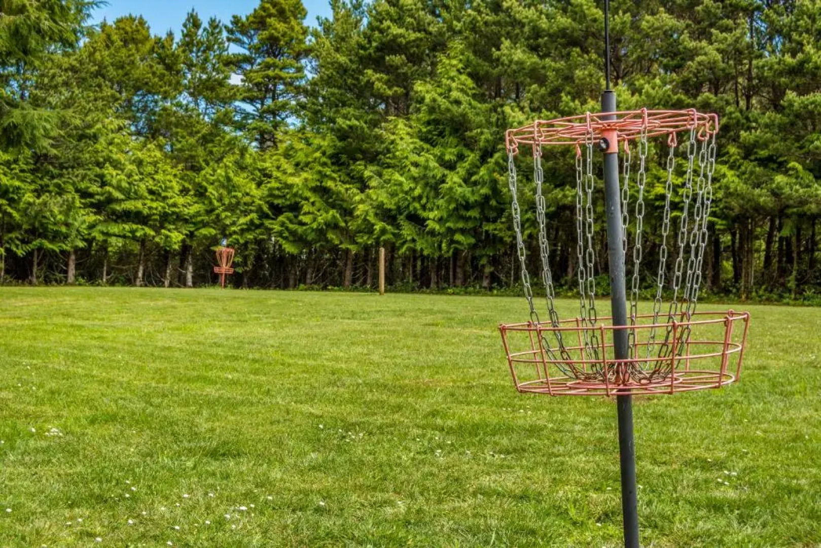 Whalers Rest Studio Cabin 14