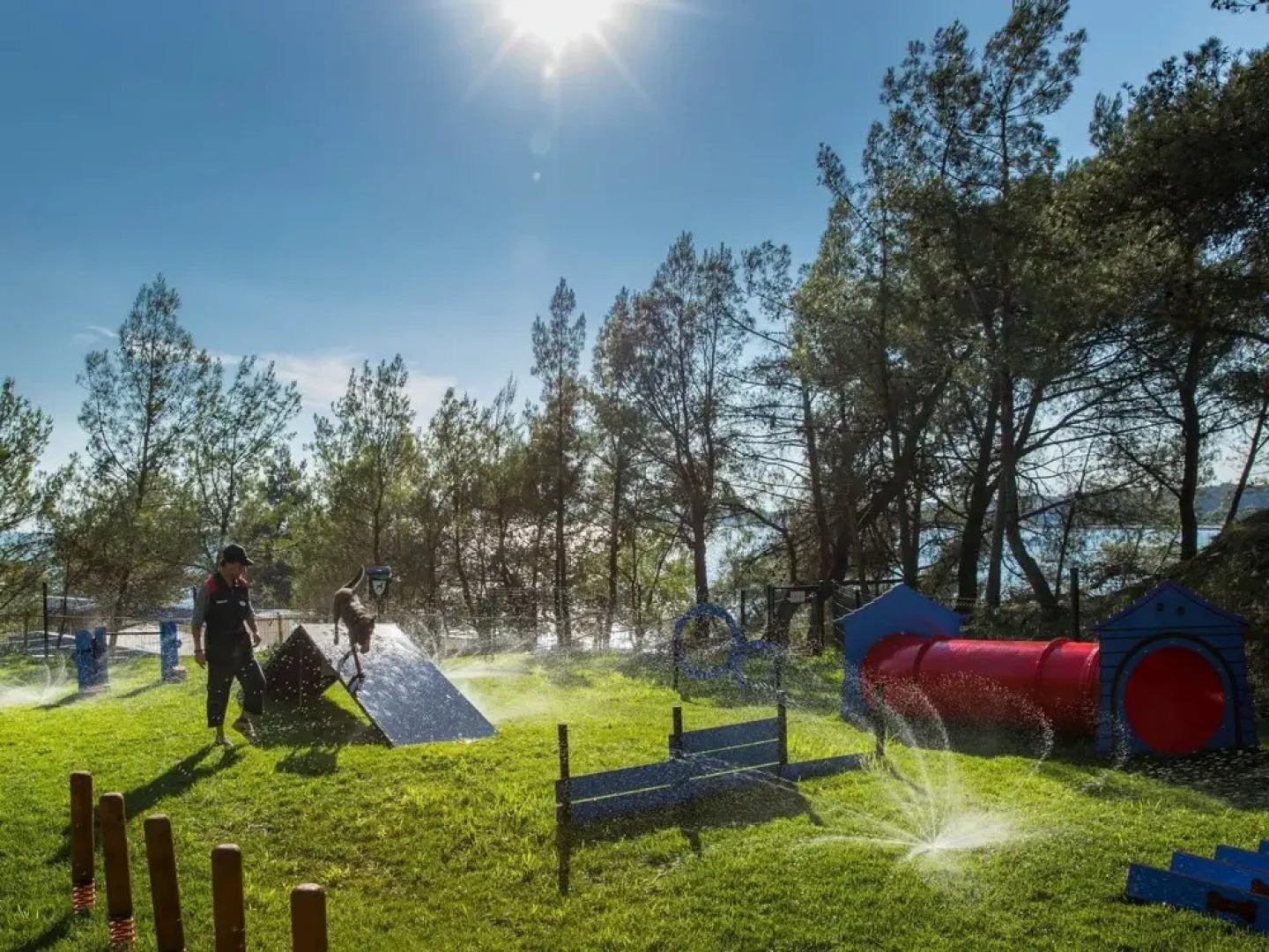 Camping Lanterna Tar