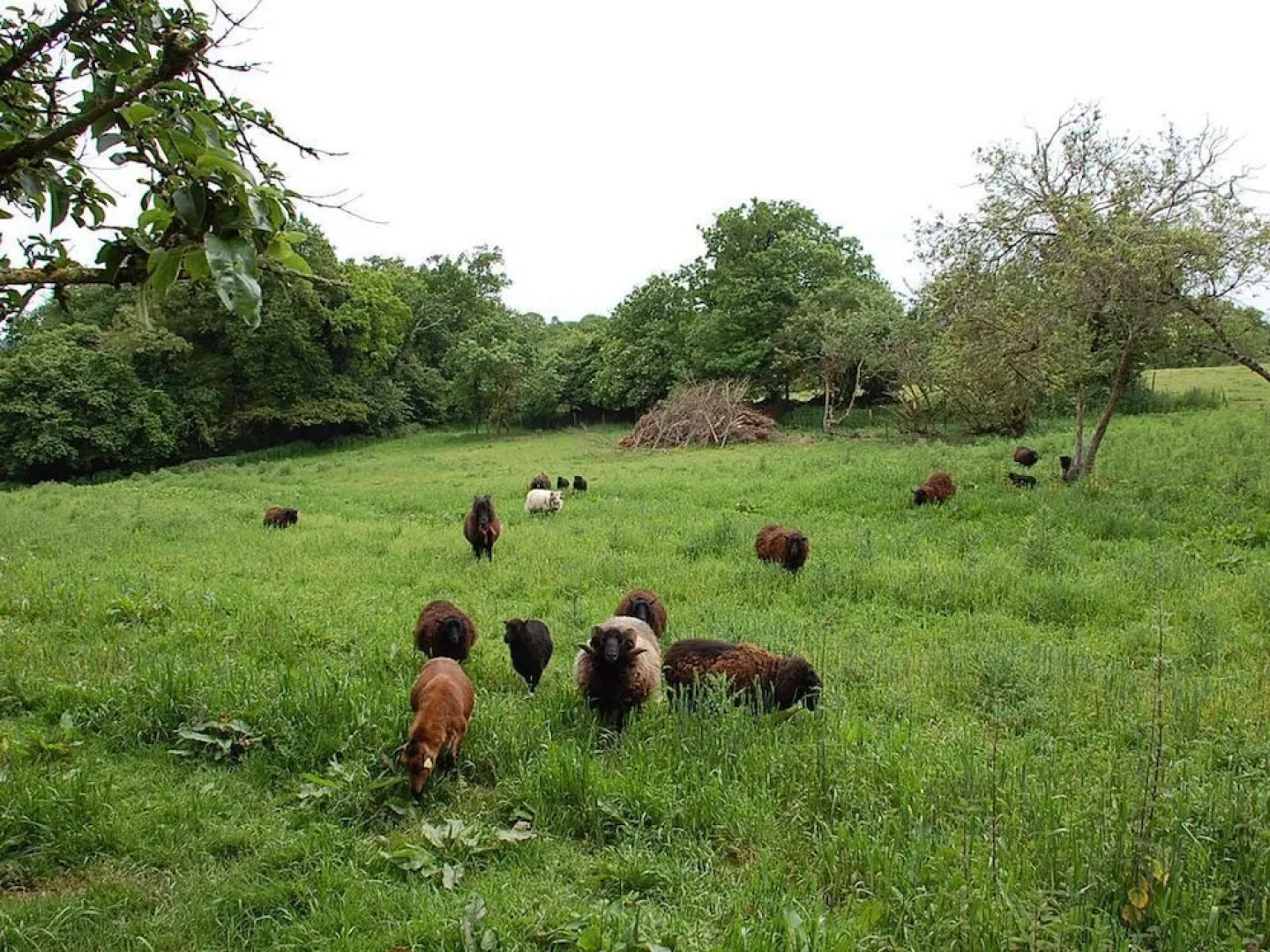 The Breton Apartment at Chateau Le Mur