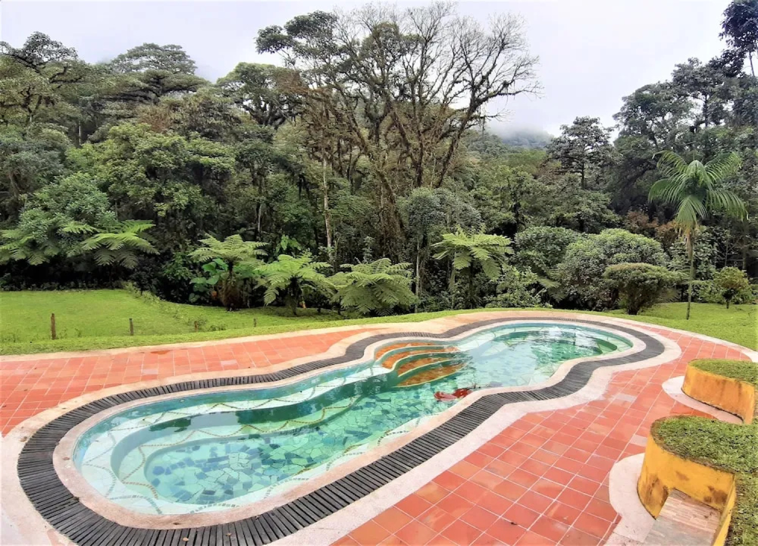 Mindo Loma Bird Lodge