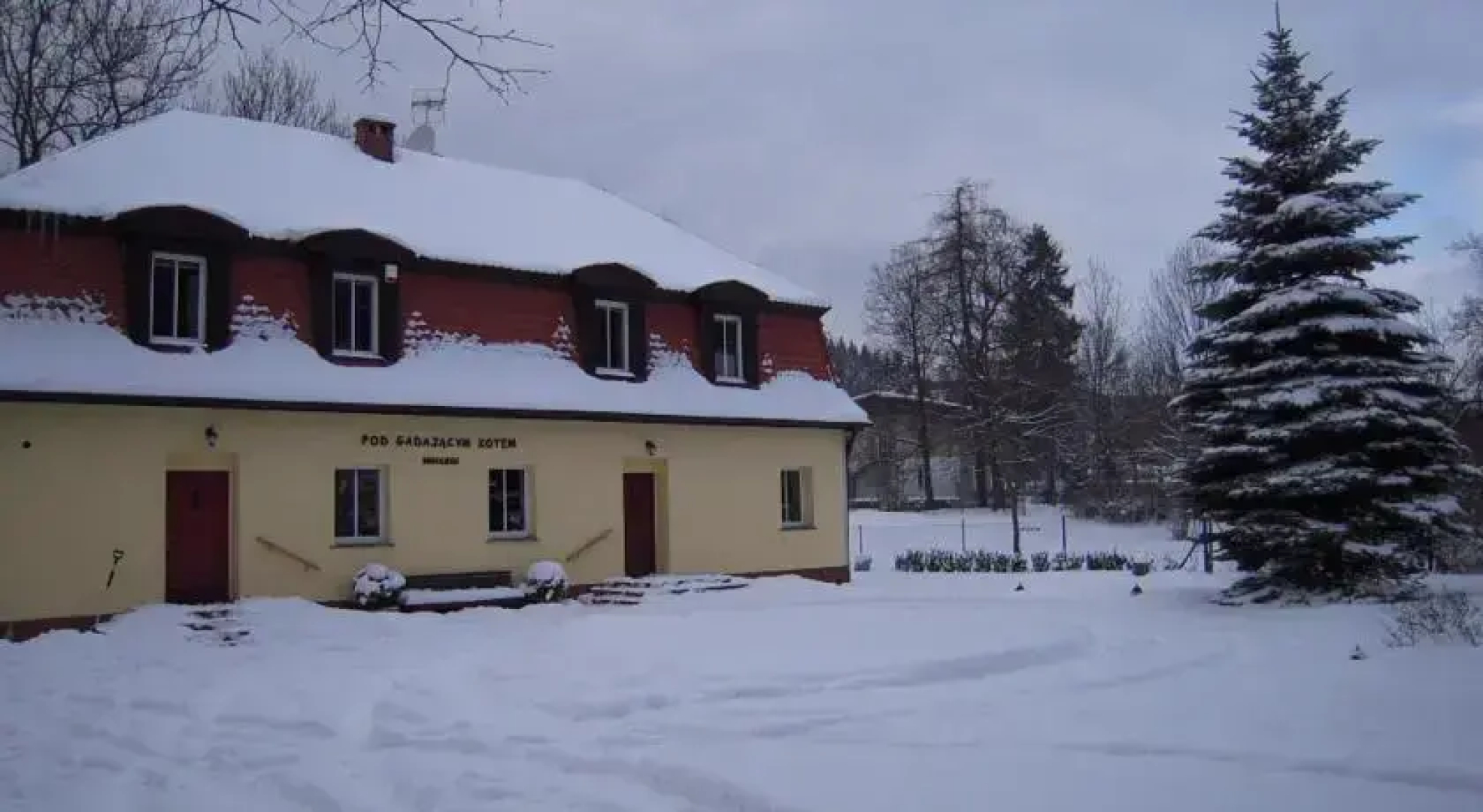 Pod Gadającym Kotem