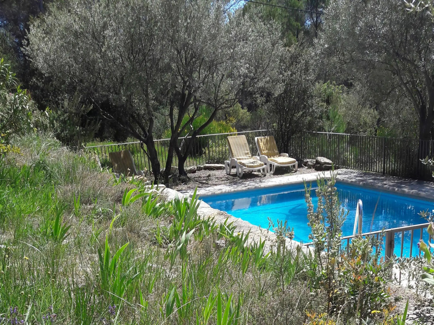 Cozy holiday home in Saint-Antonin-du-Var with large pool