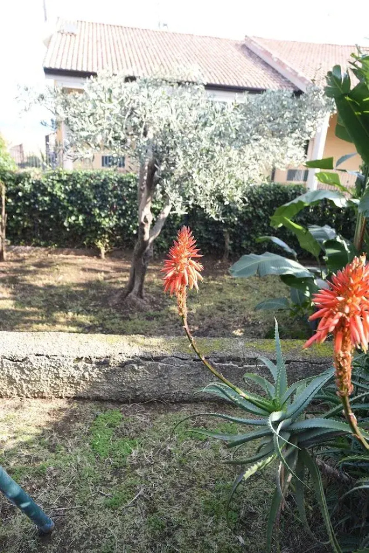 Guest House Villa "Contea di Aci"