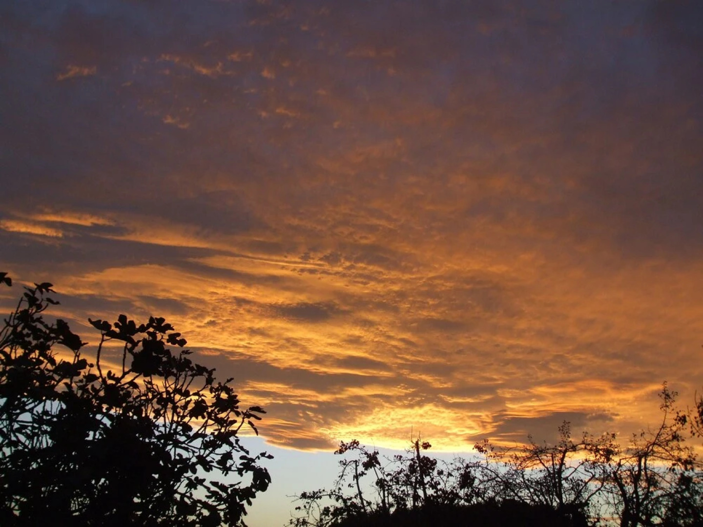 San Miguel de Txorierri