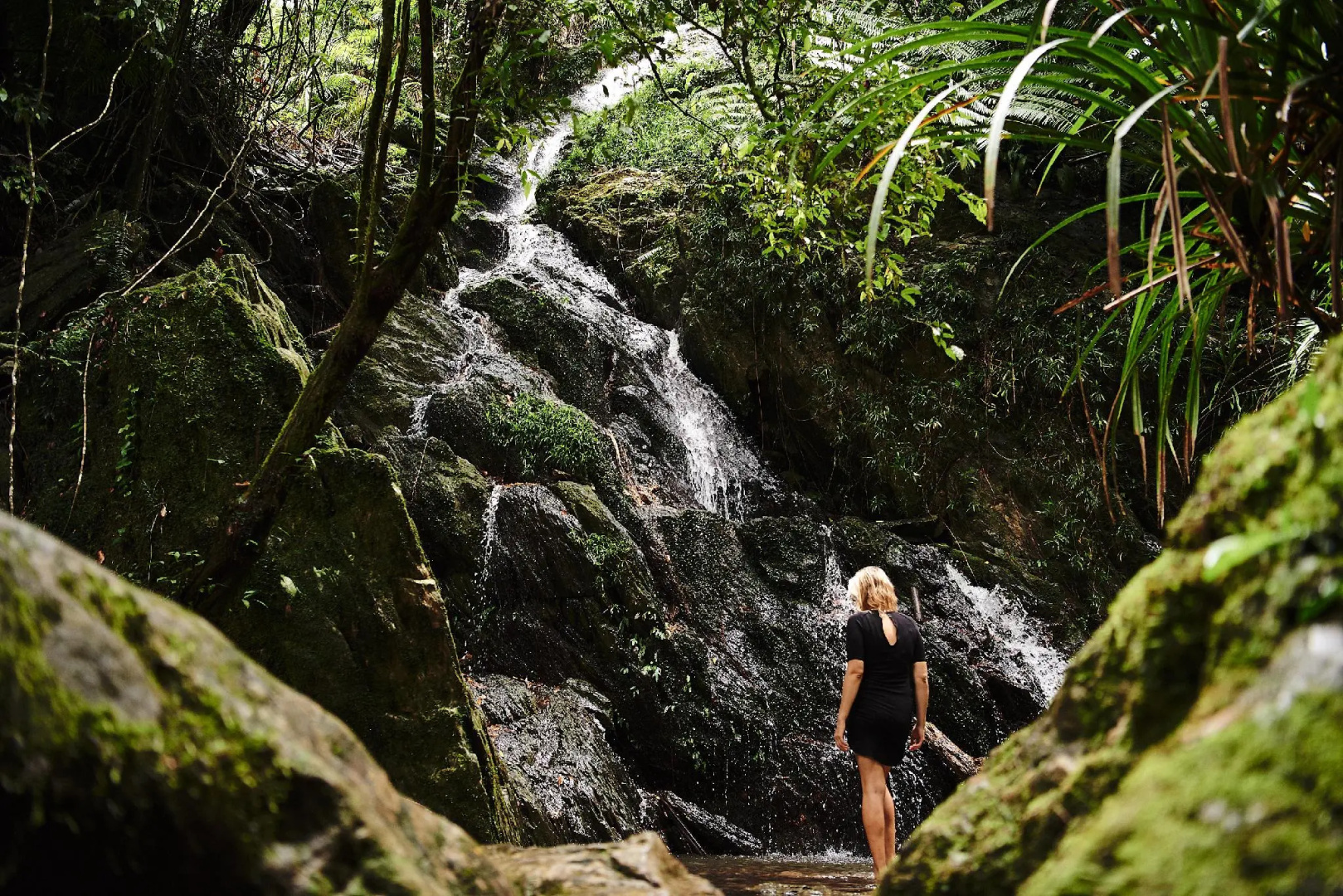 Daintree Ecolodge