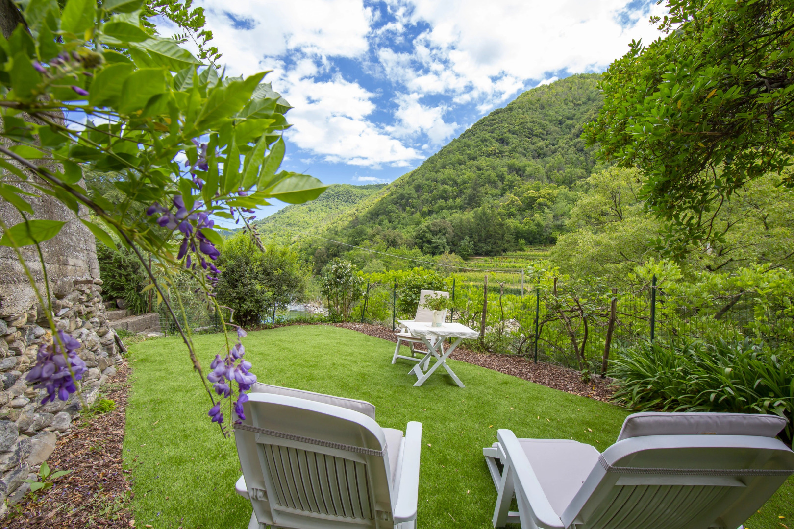 Geraneo among vineyard