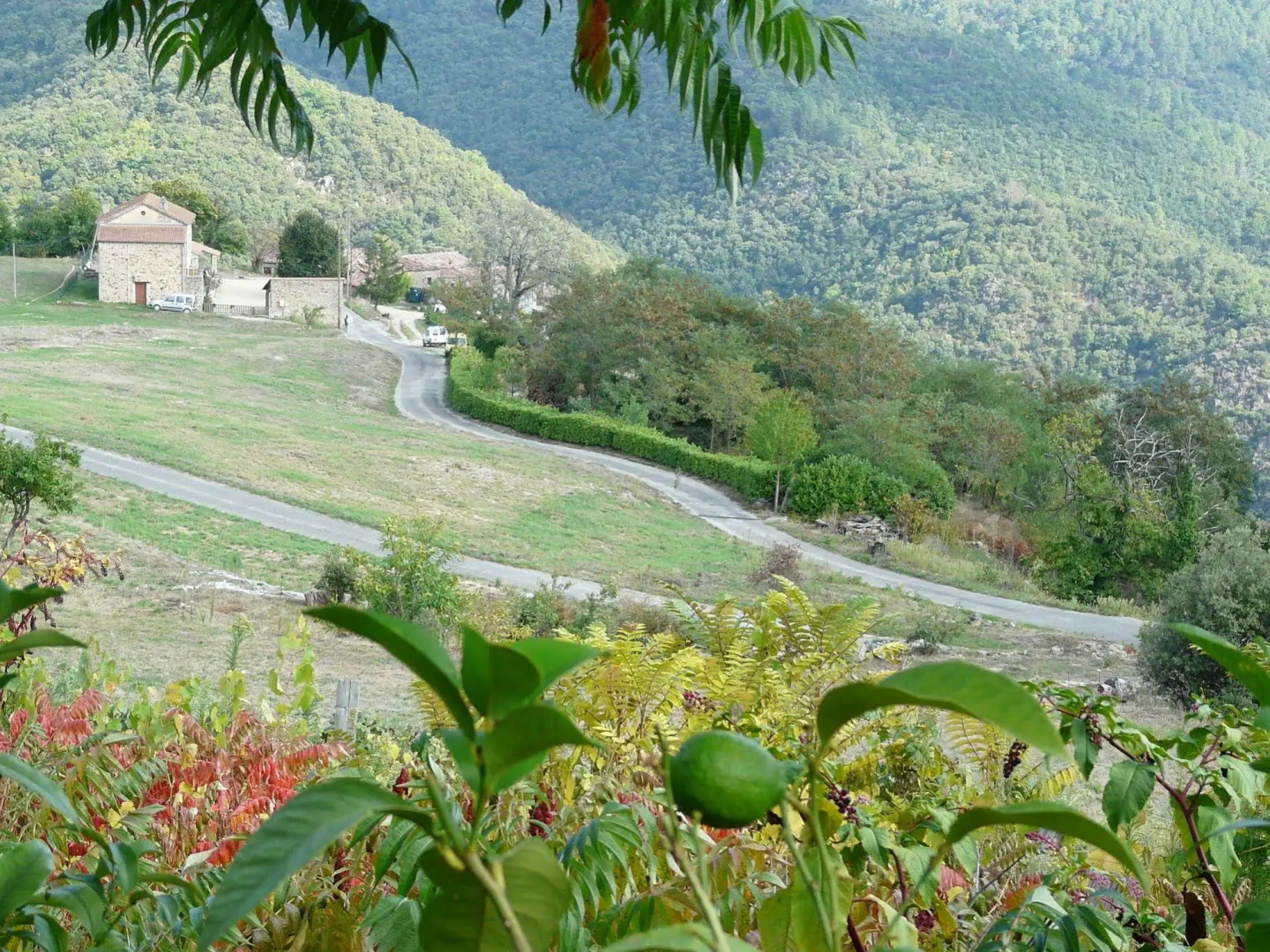 La Petite Cour Verte