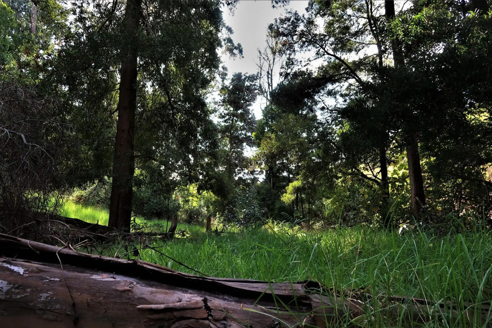 Casa do Loja 2 "Vila Maria Quinta"