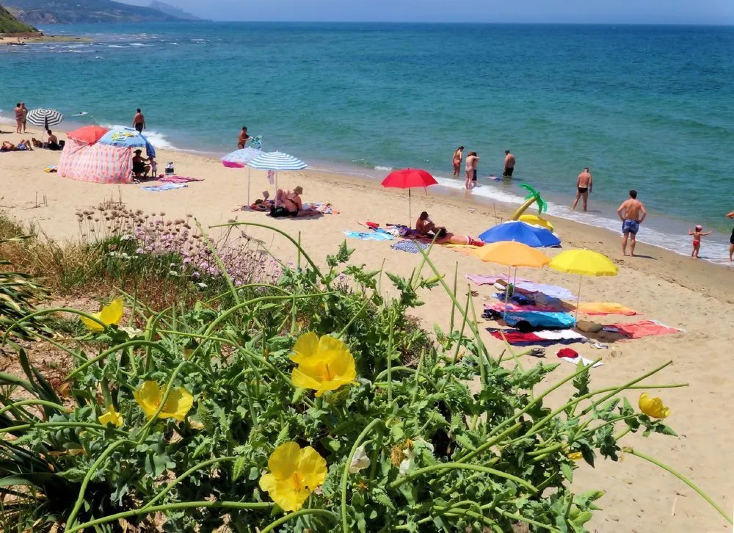 Hotel Tartaruga Bianca