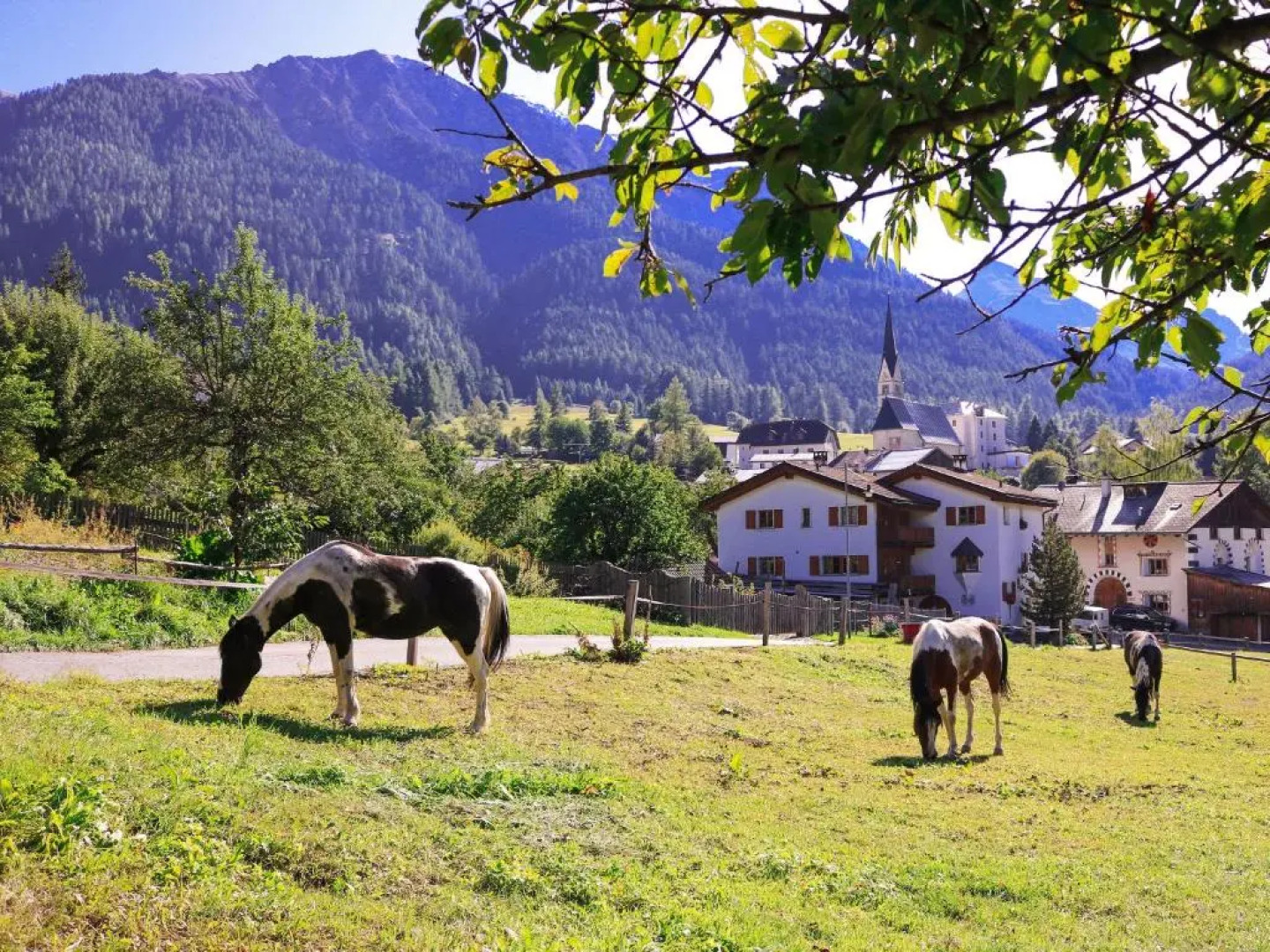 Paclera Hof Agrotourismus