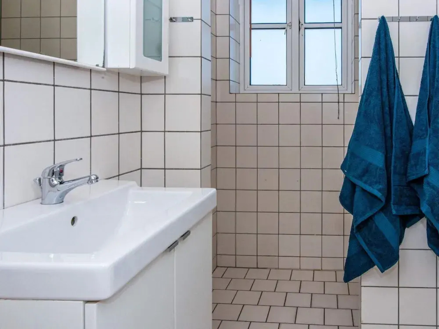 20 Person Holiday Home in Ringkobing