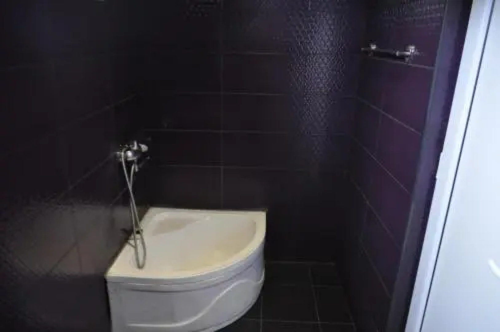 Guesthouse Dariali