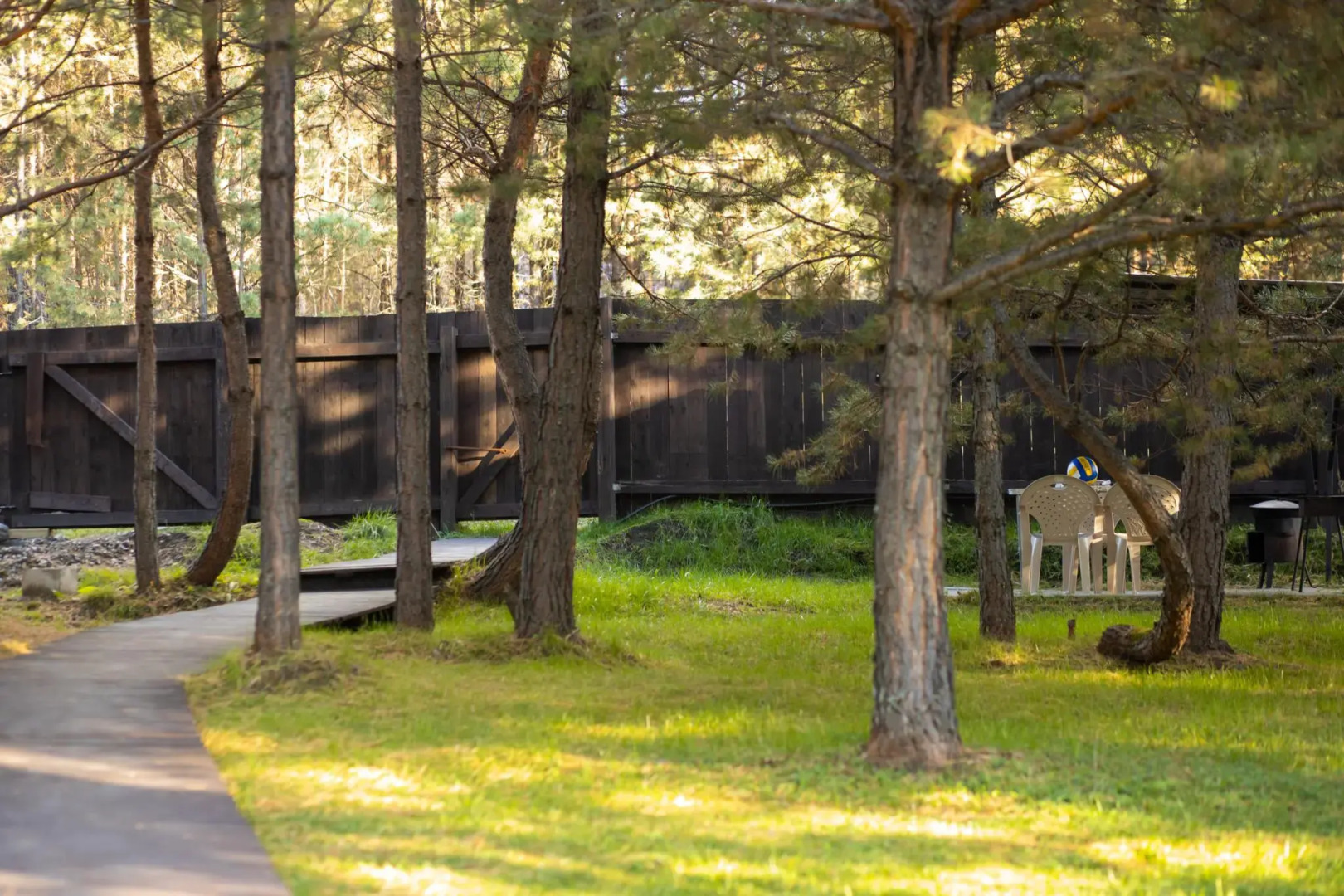 Сосновый рай