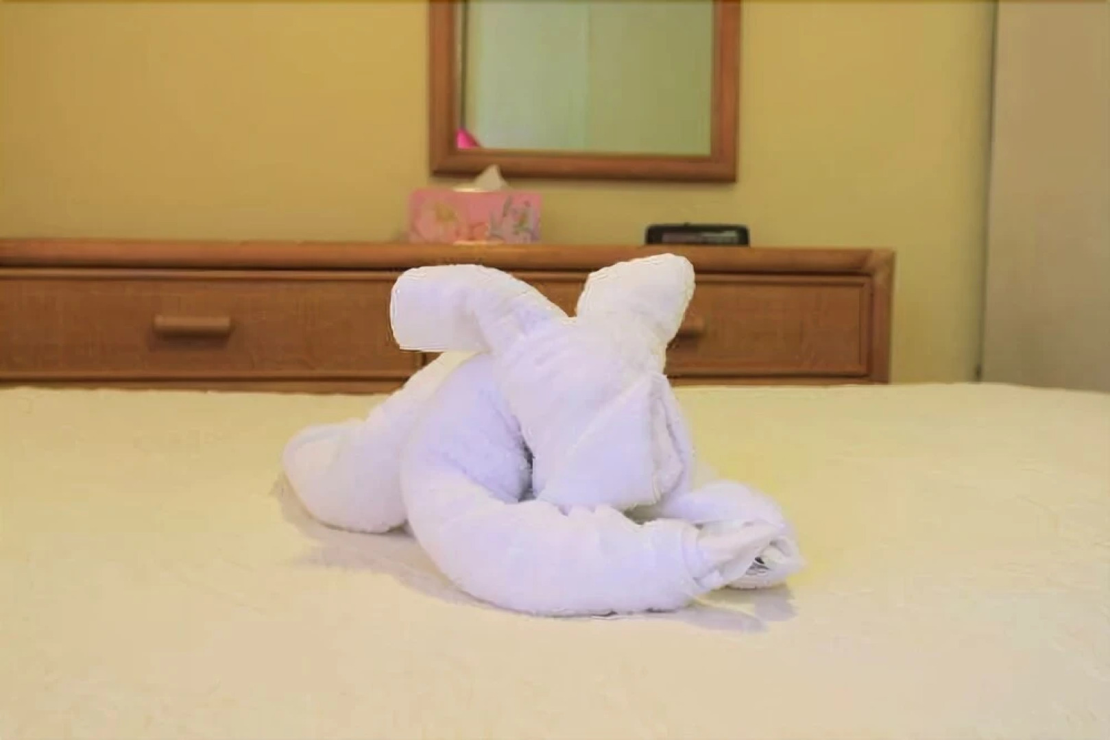 Allamanda Beach Club by RedAwning